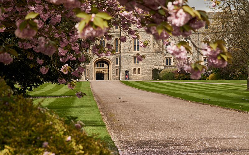 Estudiar en el Extranjero