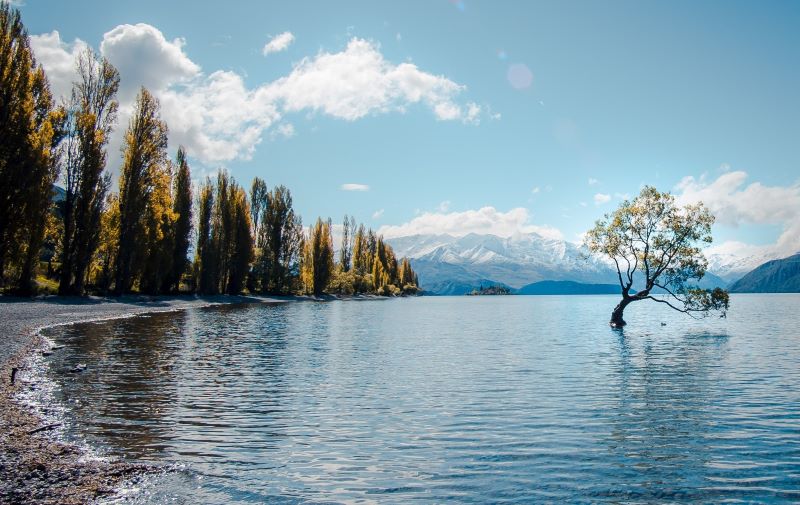 Razones para estudiar en Oceanía