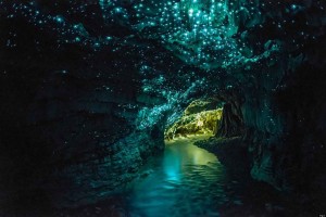 egali-intercambio-nueva-zelanda-waitomo-caves