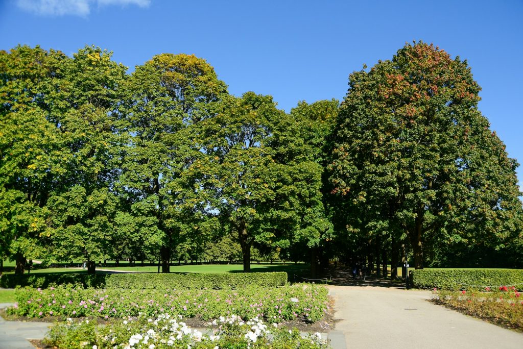 intercambio en Perth